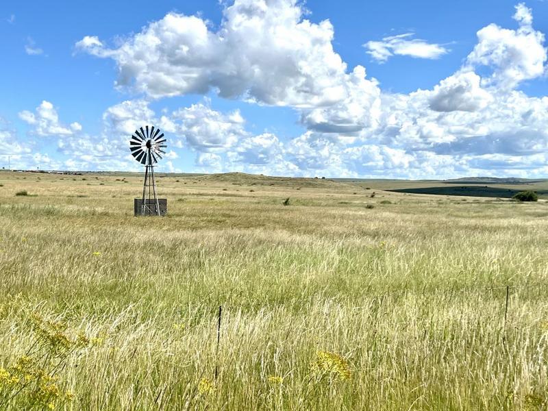 0 Bedroom Property for Sale in Lindley Free State